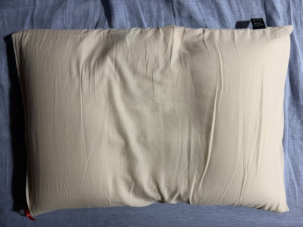 投稿写真