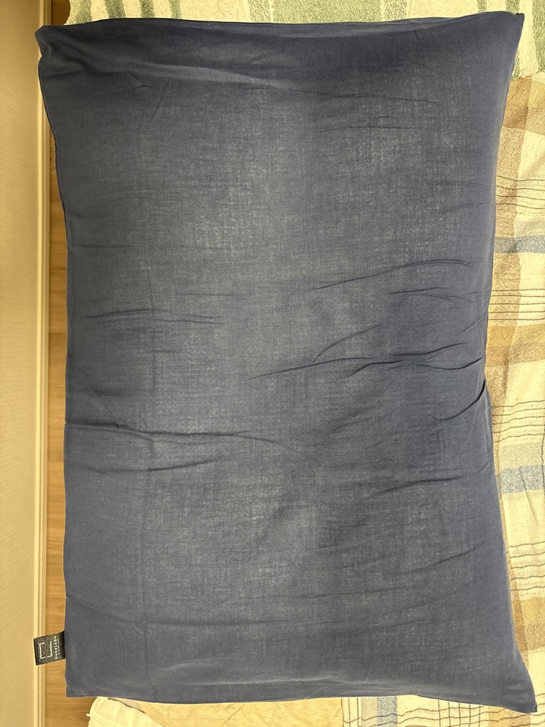 投稿写真