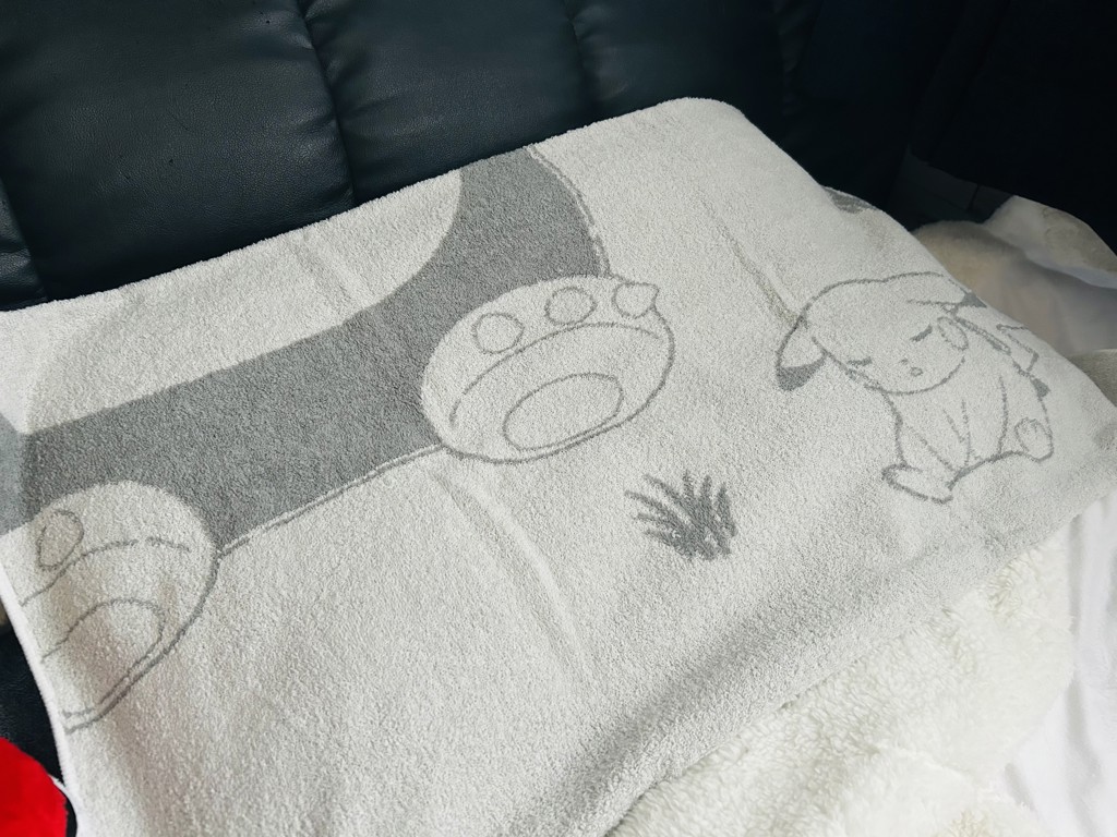 投稿写真