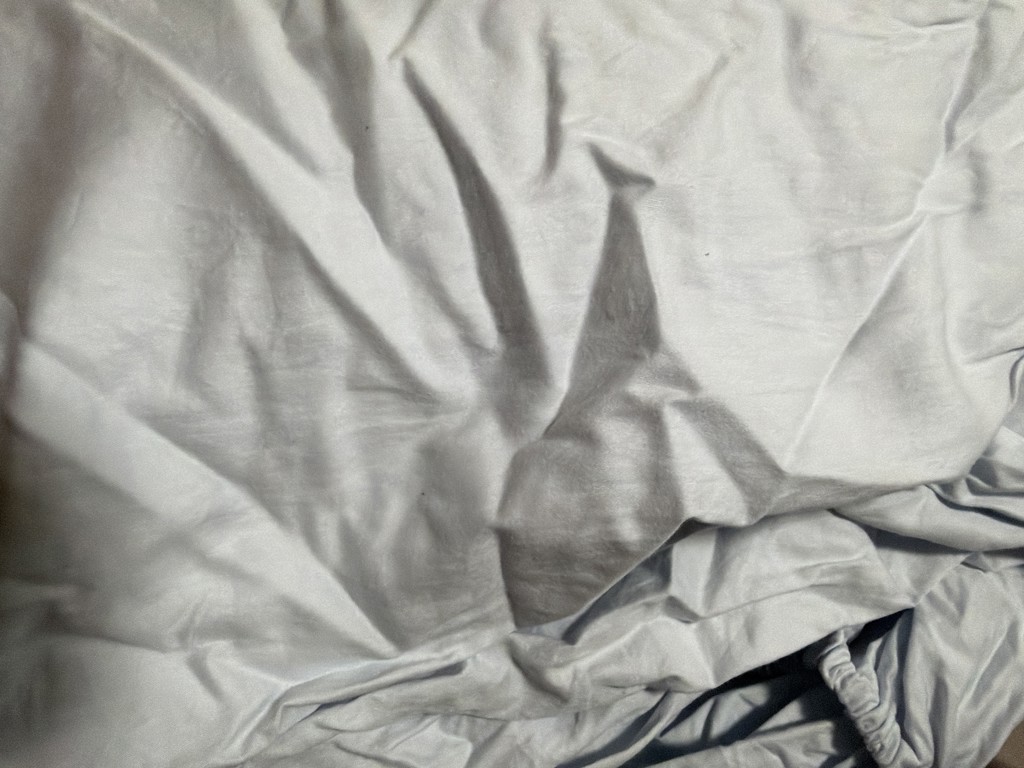 投稿写真
