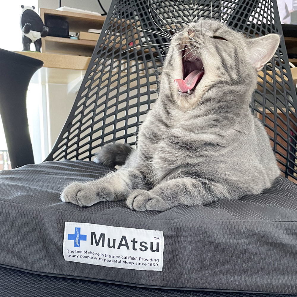 ユーザー写真