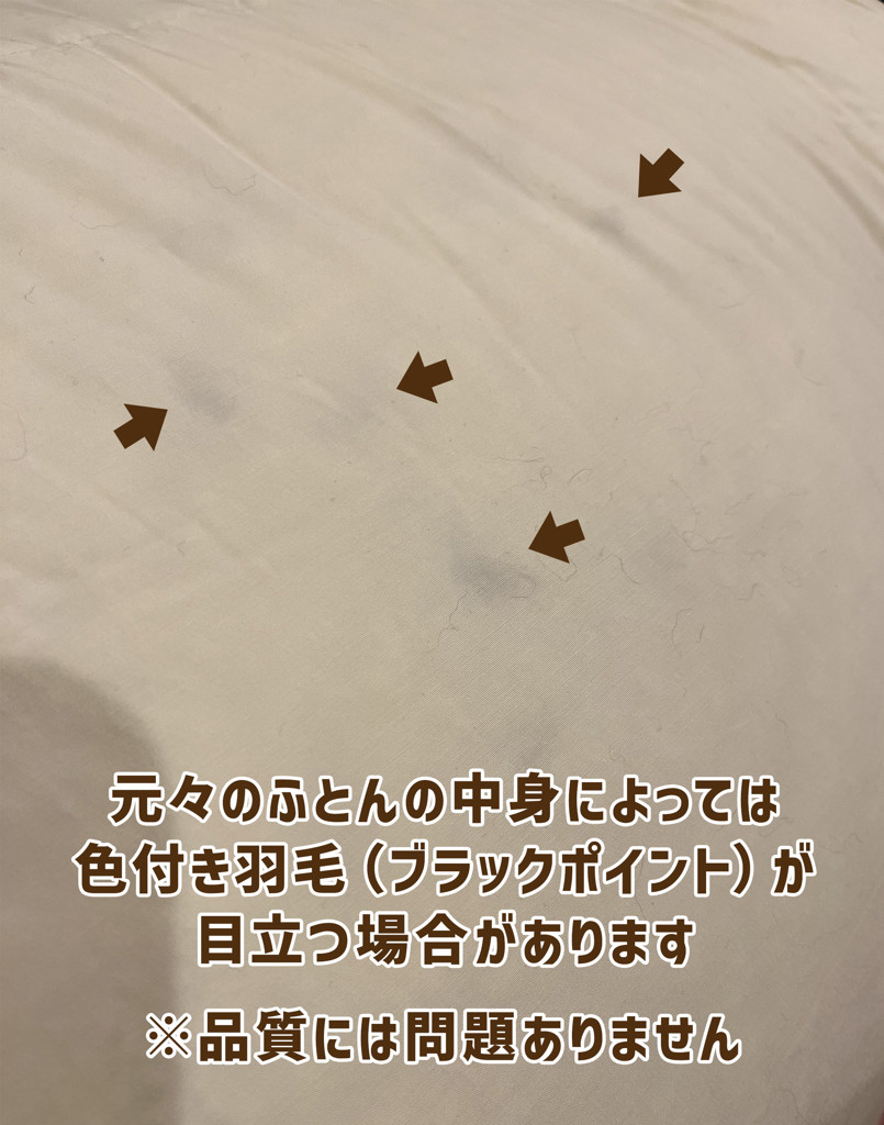 ユーザー写真