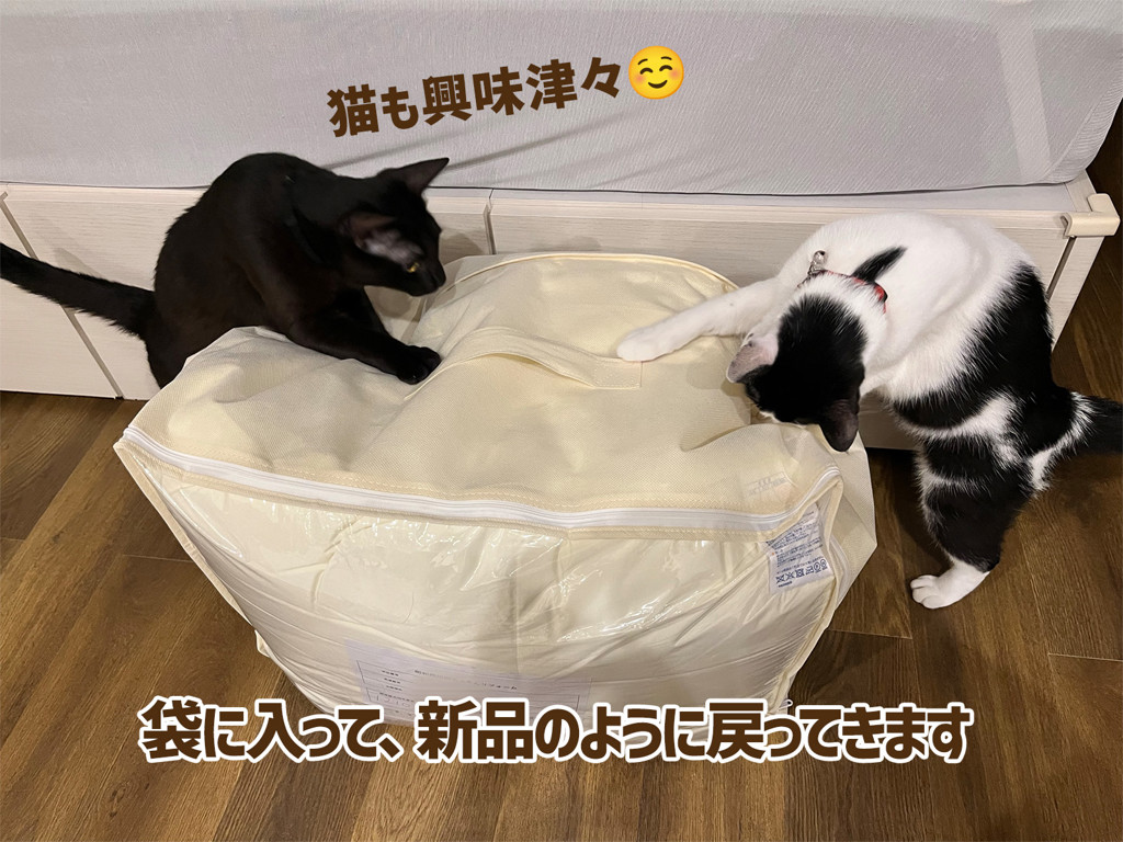 ユーザー写真