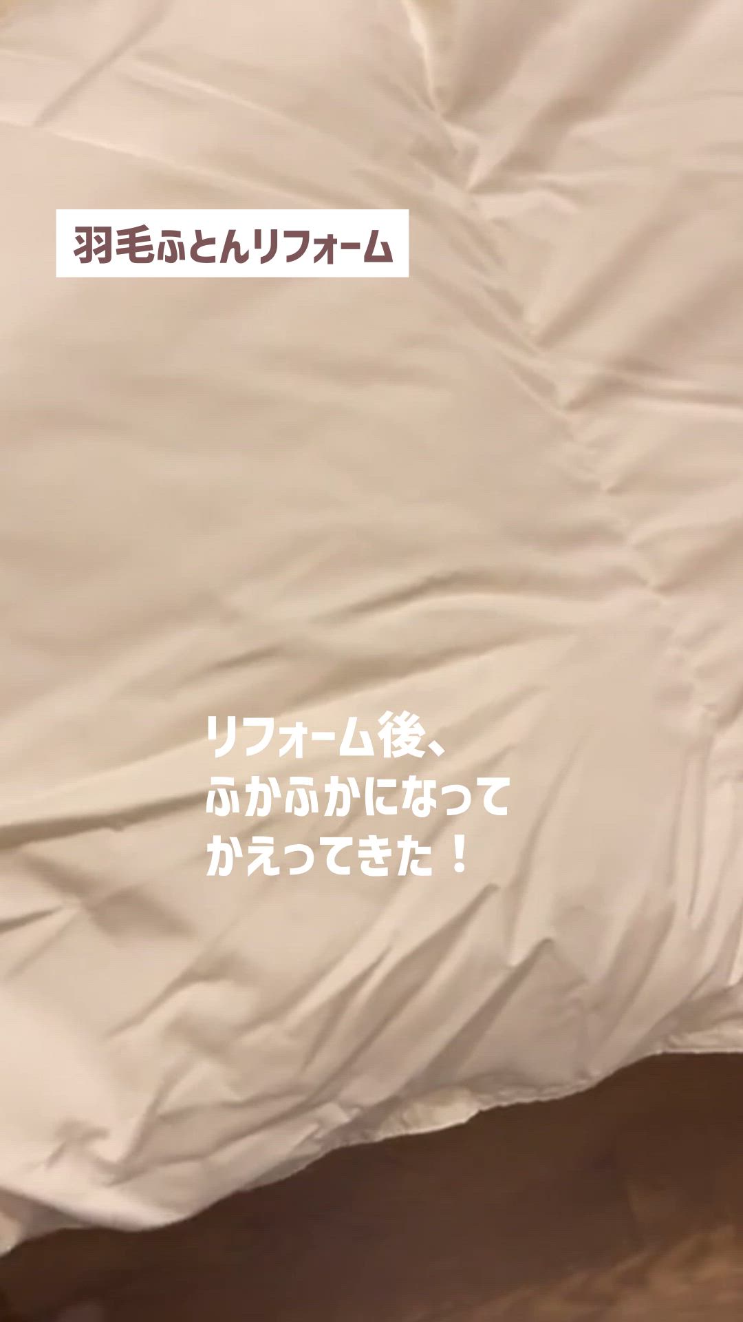 ユーザー動画