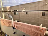ユーザー写真