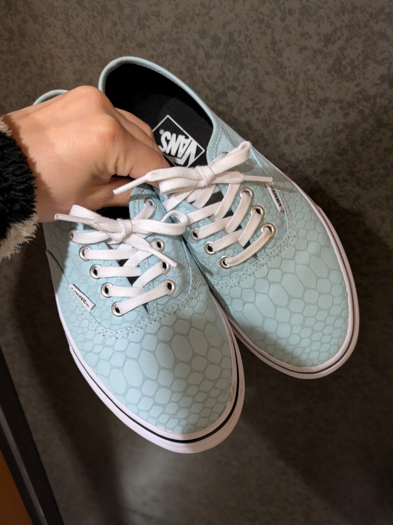 VANS】 ヴァンズ AUTHENTIC オーセンティック V44CF SNK SAX/SNAKE