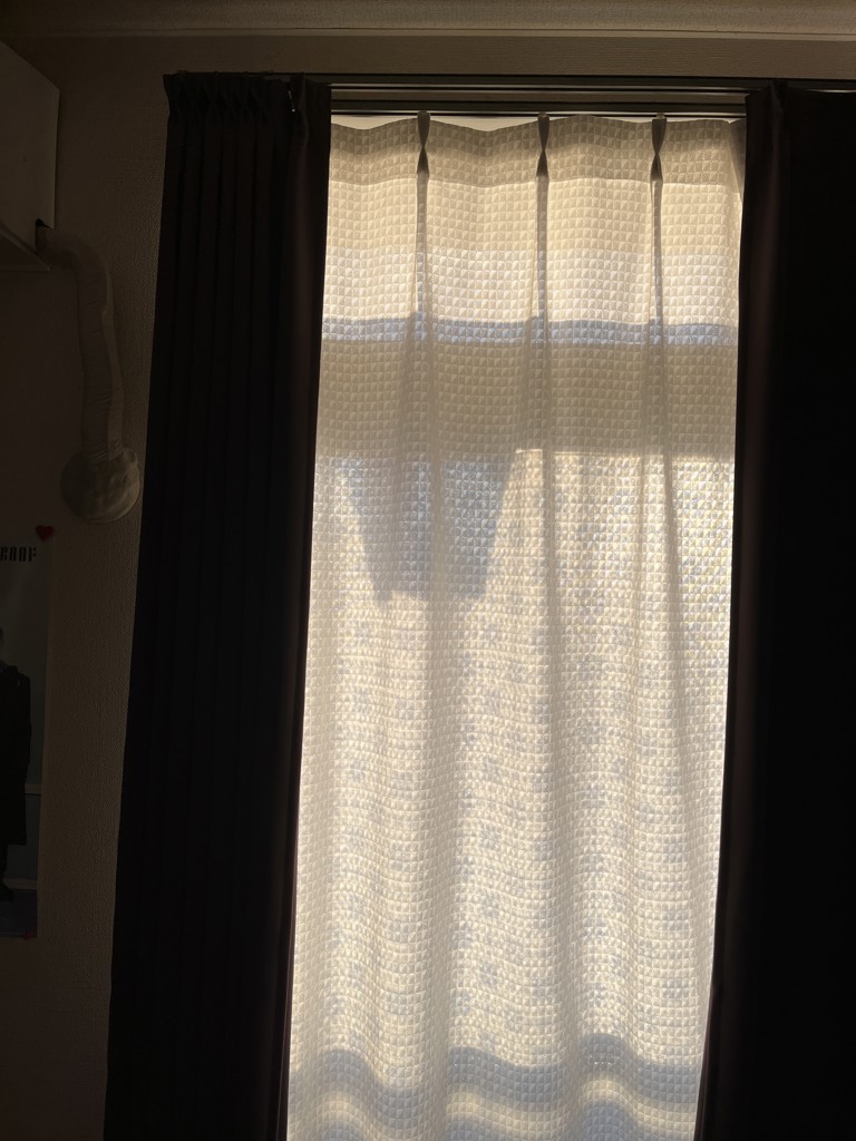 ユーザー写真
