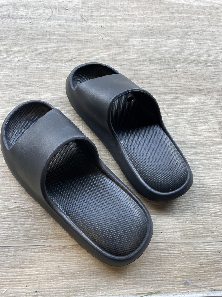 投稿写真