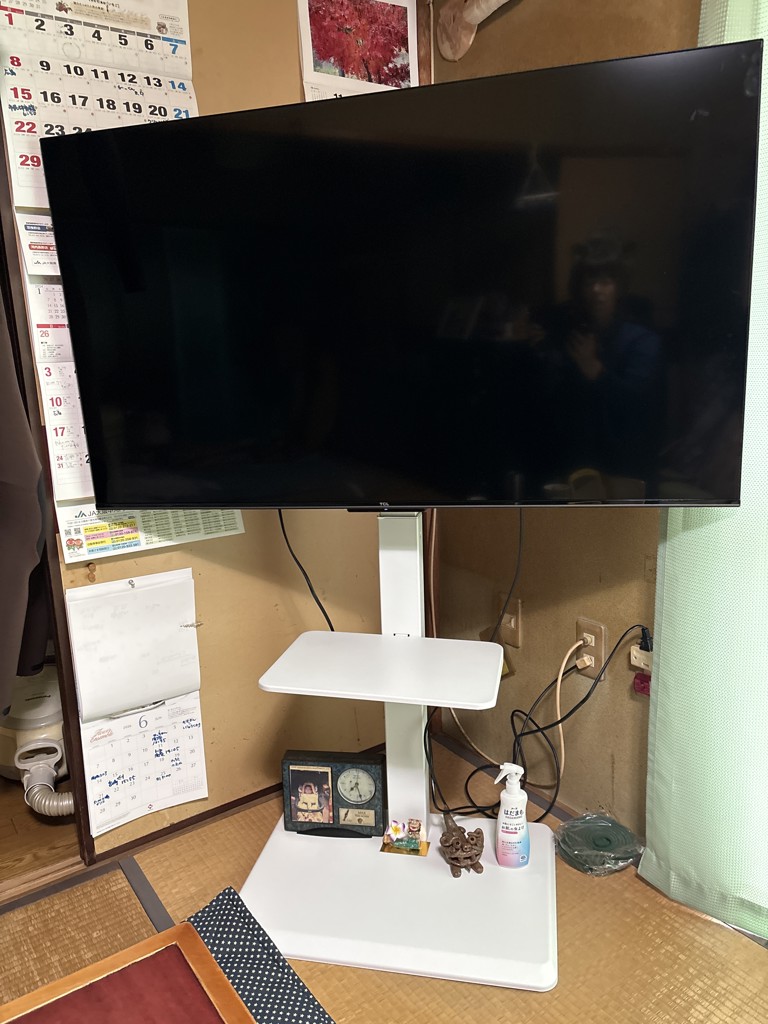 投稿写真
