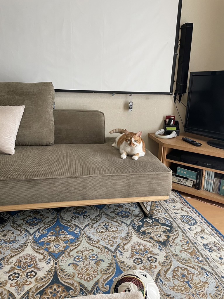 ユーザー写真