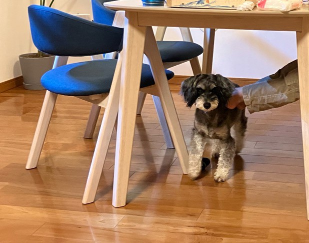 ユーザー写真