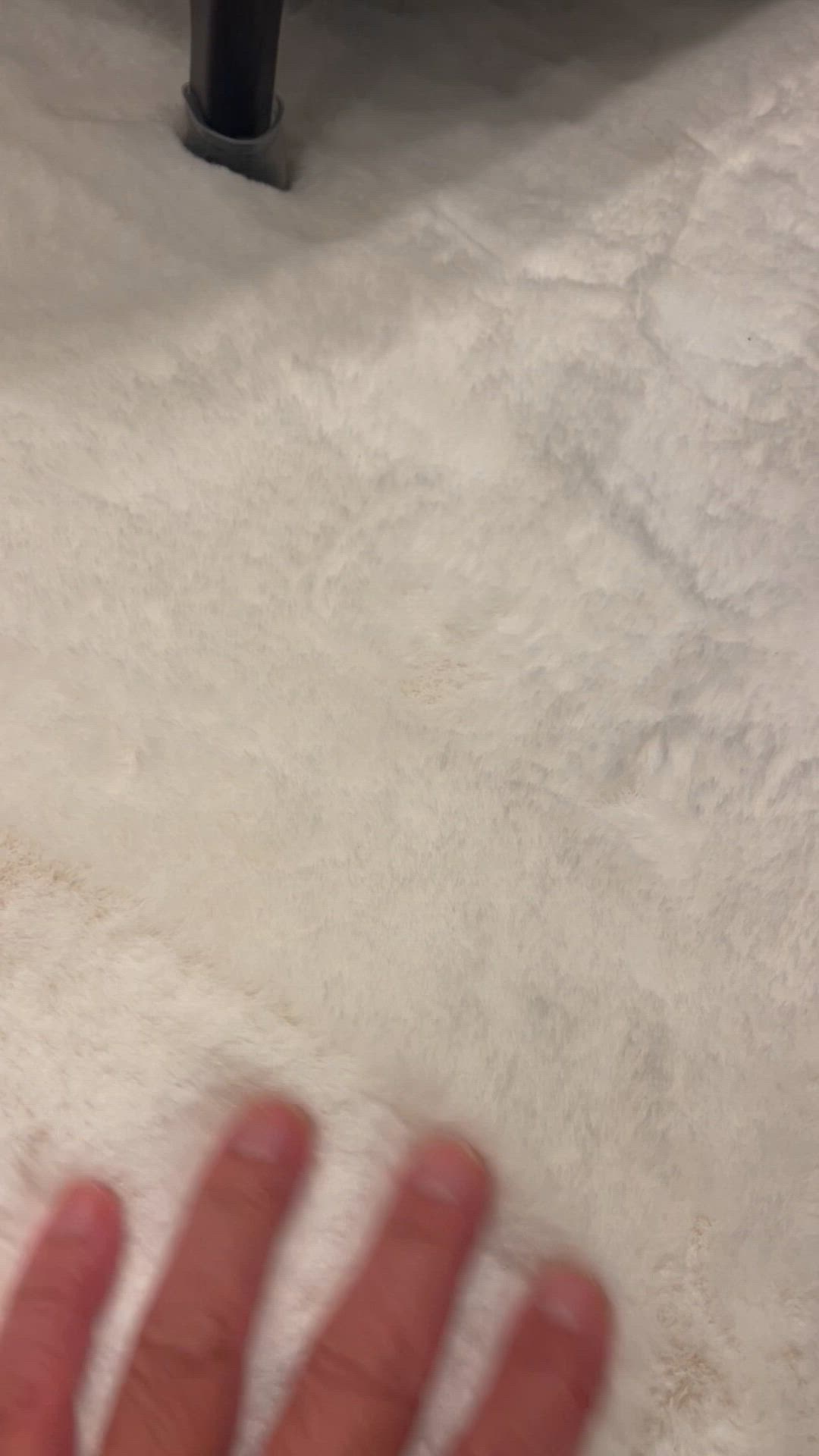 投稿写真