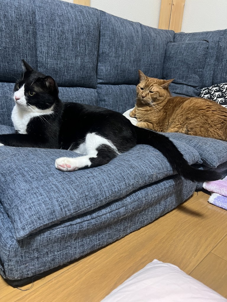 ユーザー写真