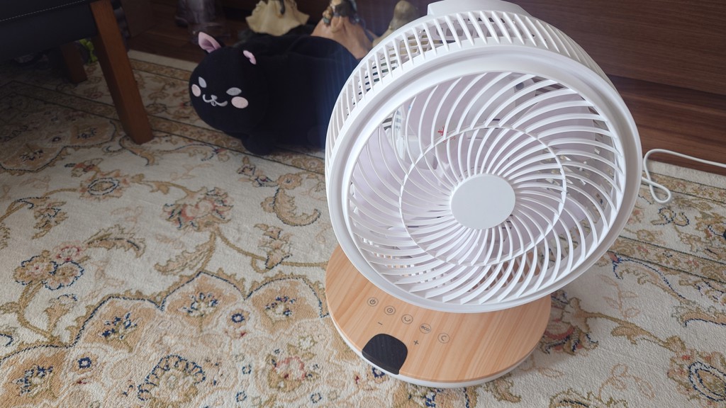 投稿写真