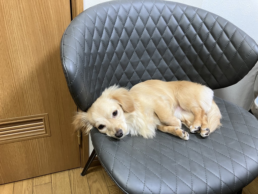 投稿写真
