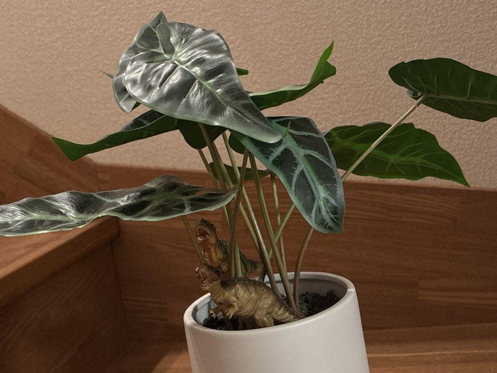 ユーザー写真