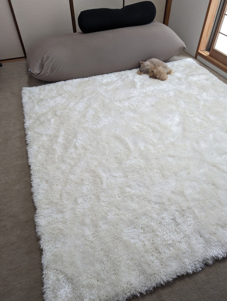 ユーザー写真