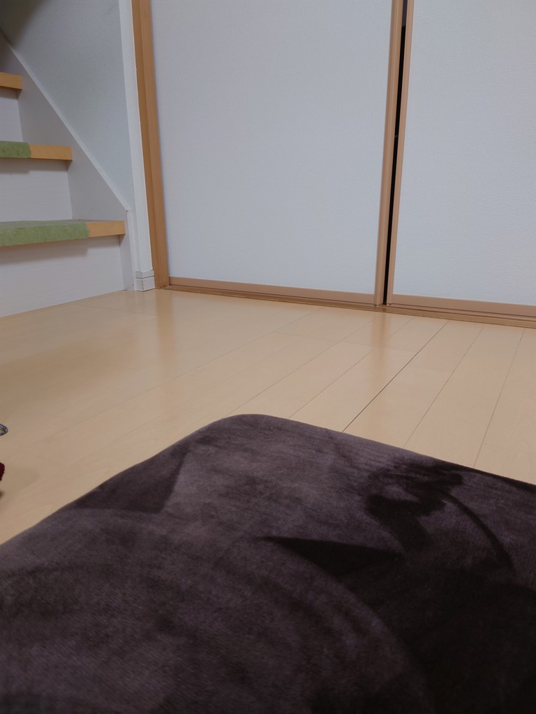 投稿写真
