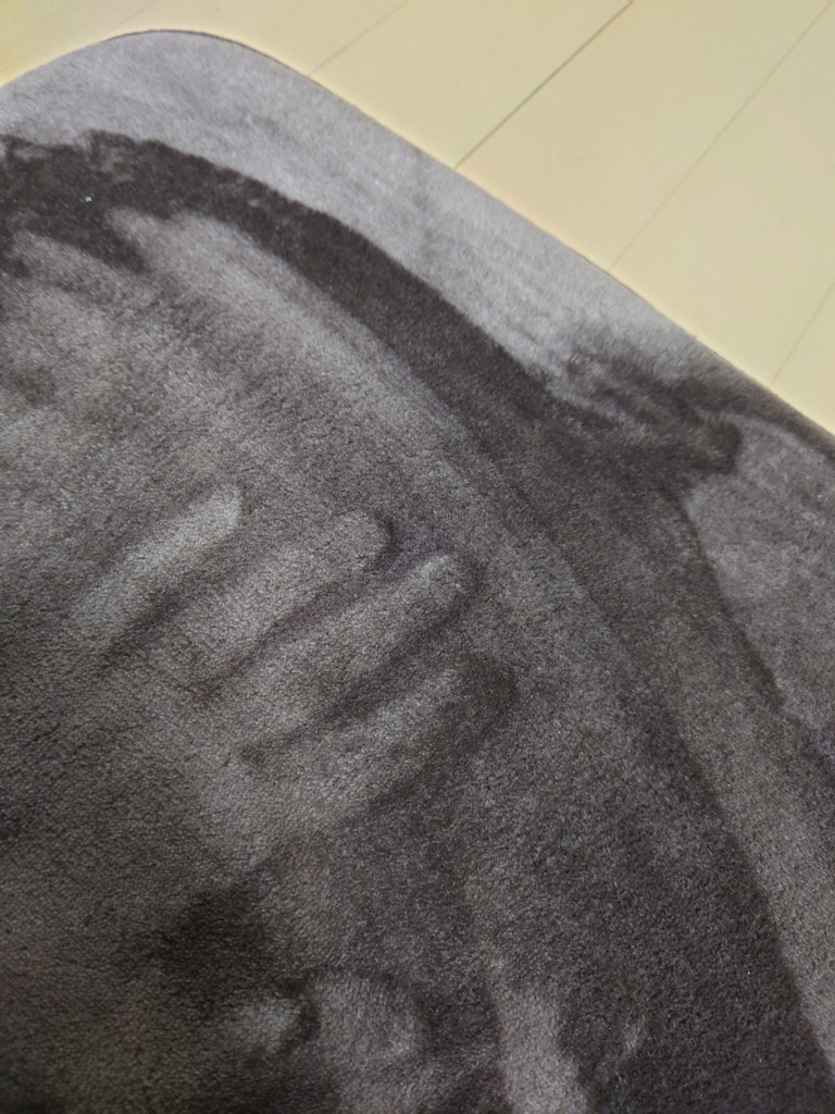 投稿写真