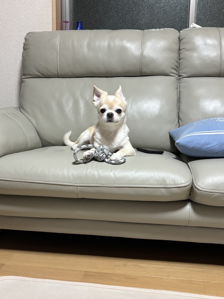 投稿写真