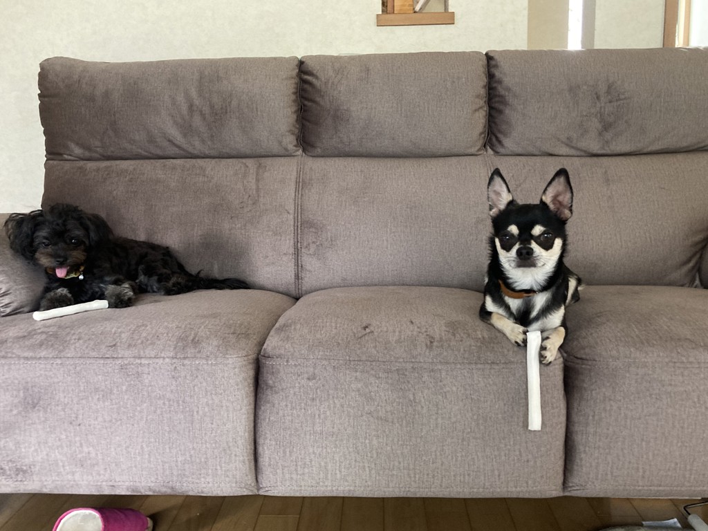 投稿写真