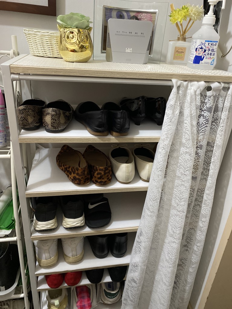 投稿写真