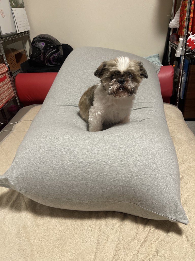 投稿写真