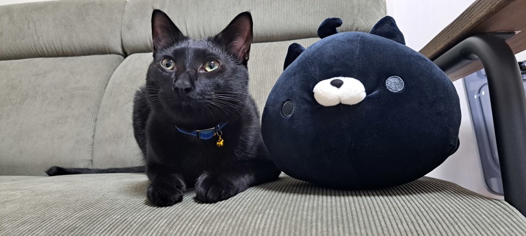 ユーザー写真
