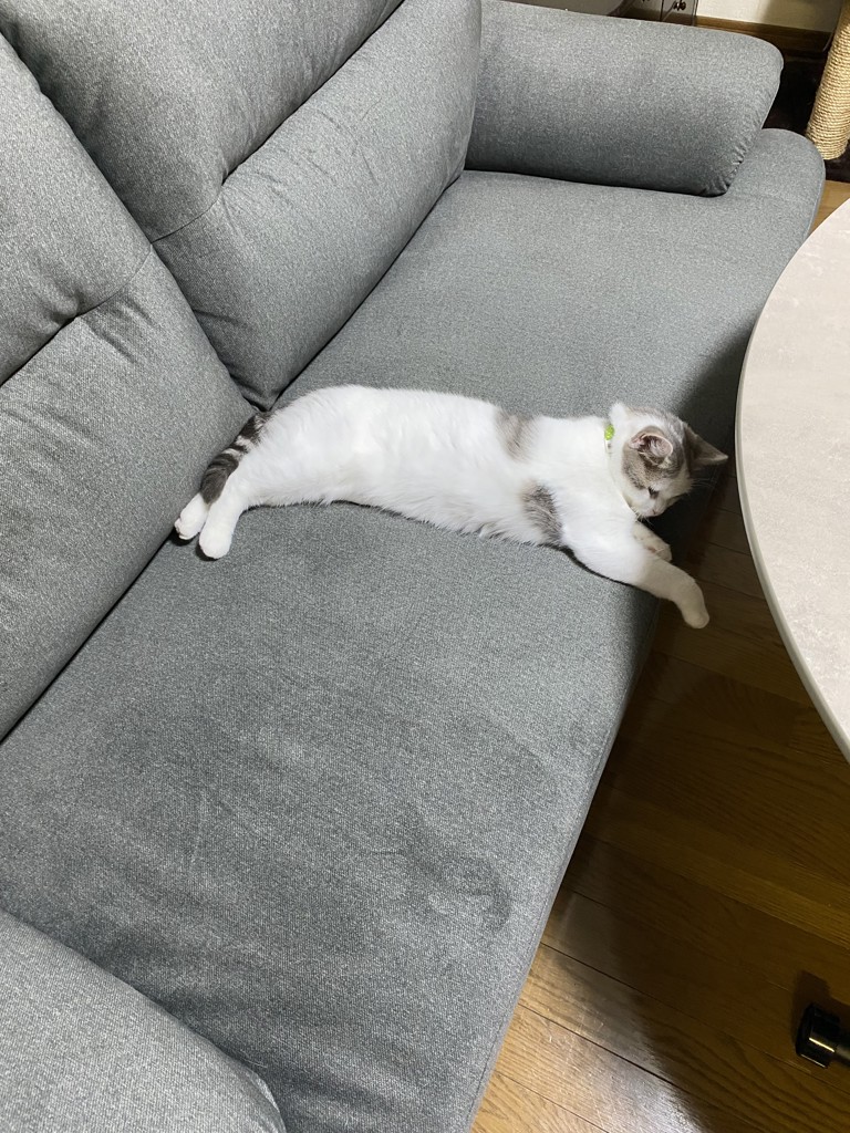 ユーザー写真