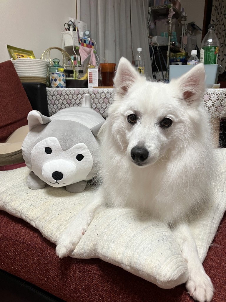 ユーザー写真