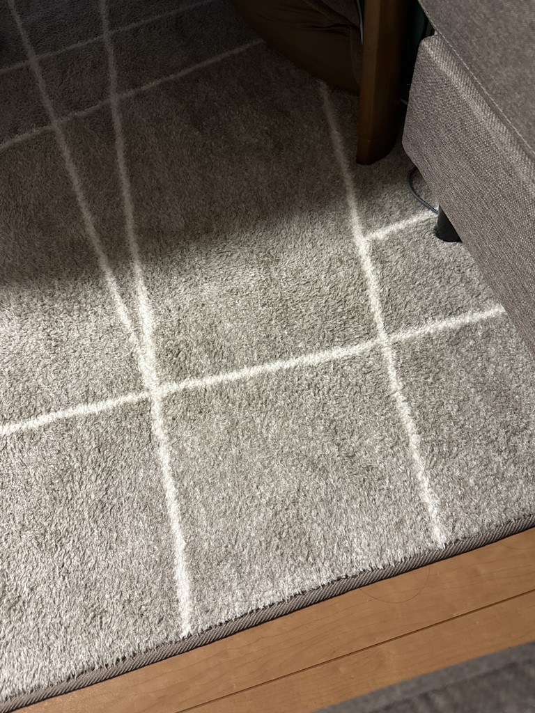 ユーザー写真