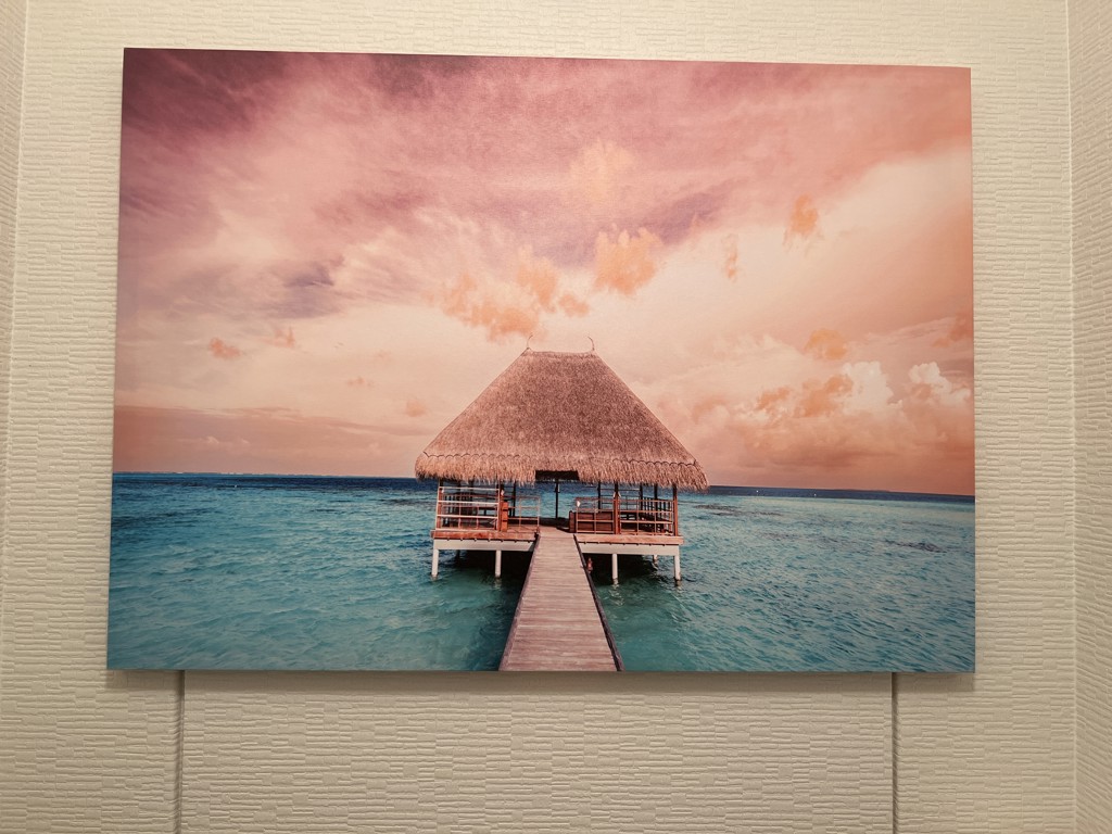 ユーザー写真