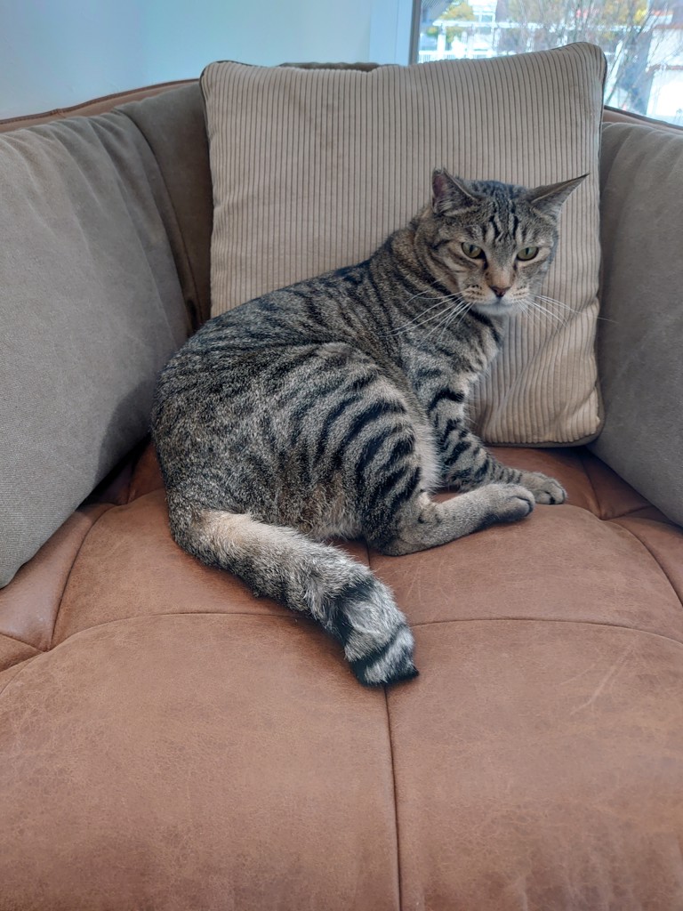 ユーザー写真
