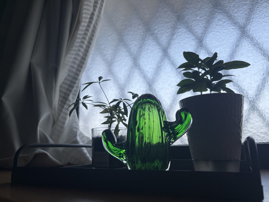 ユーザー写真