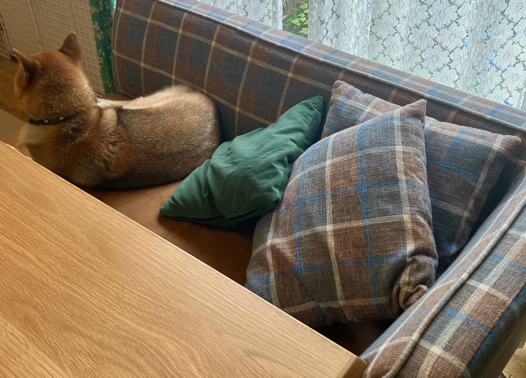 ユーザー写真