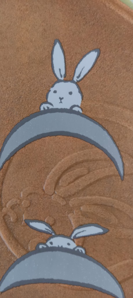 投稿写真