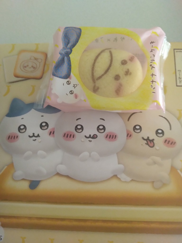 投稿写真
