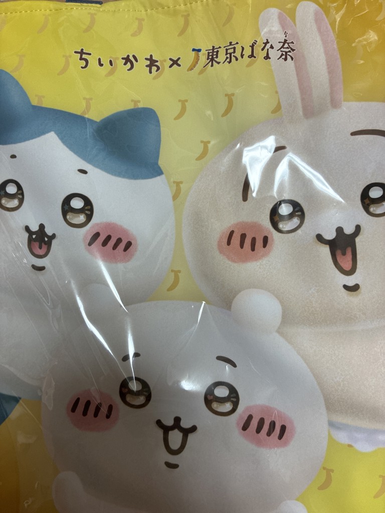 投稿写真