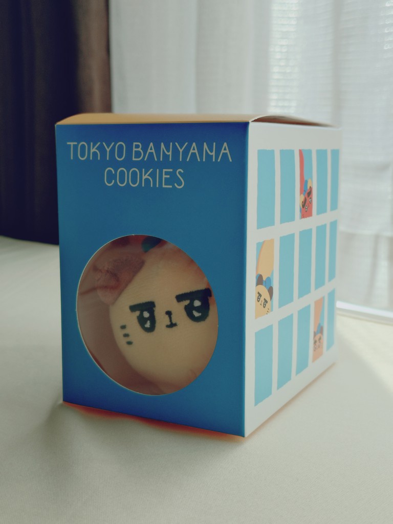 投稿写真
