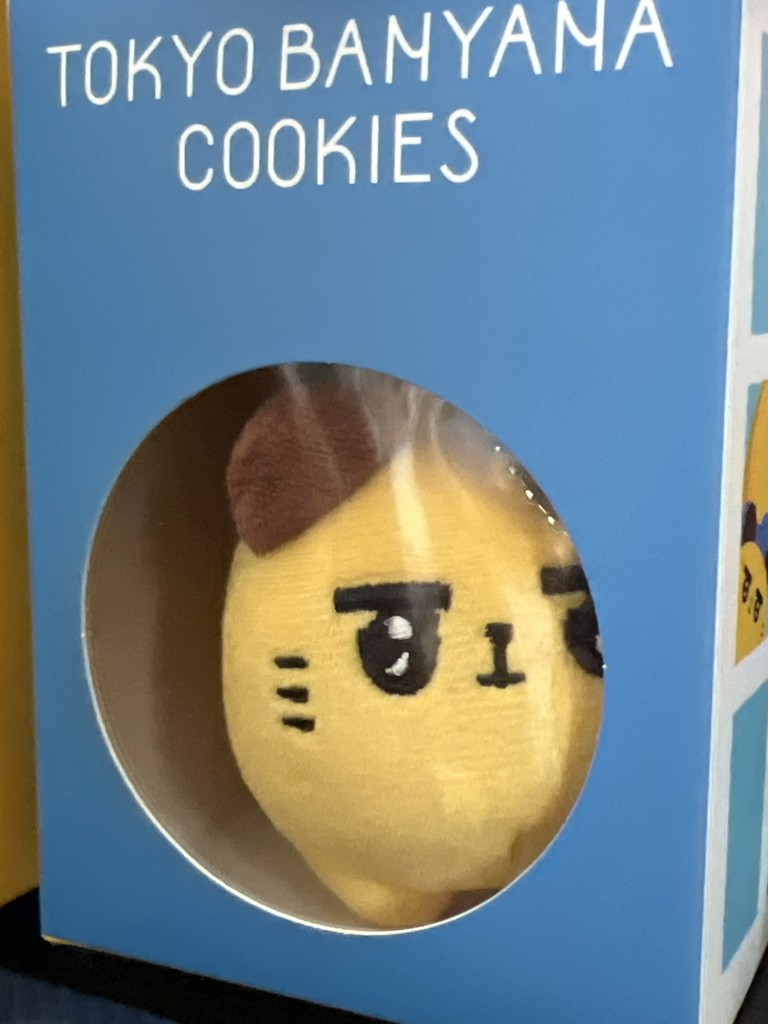 投稿写真