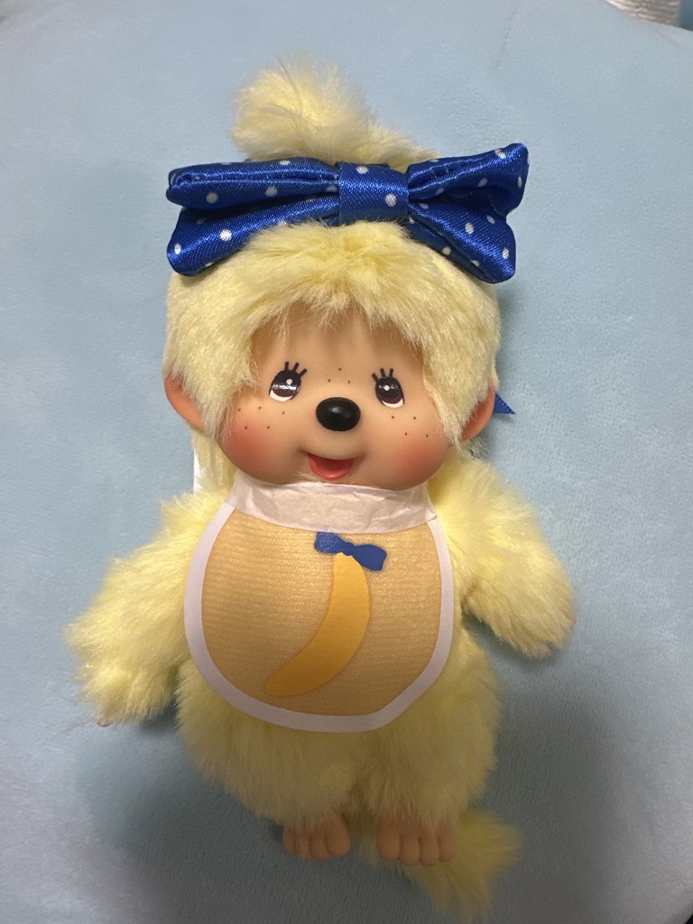 投稿写真