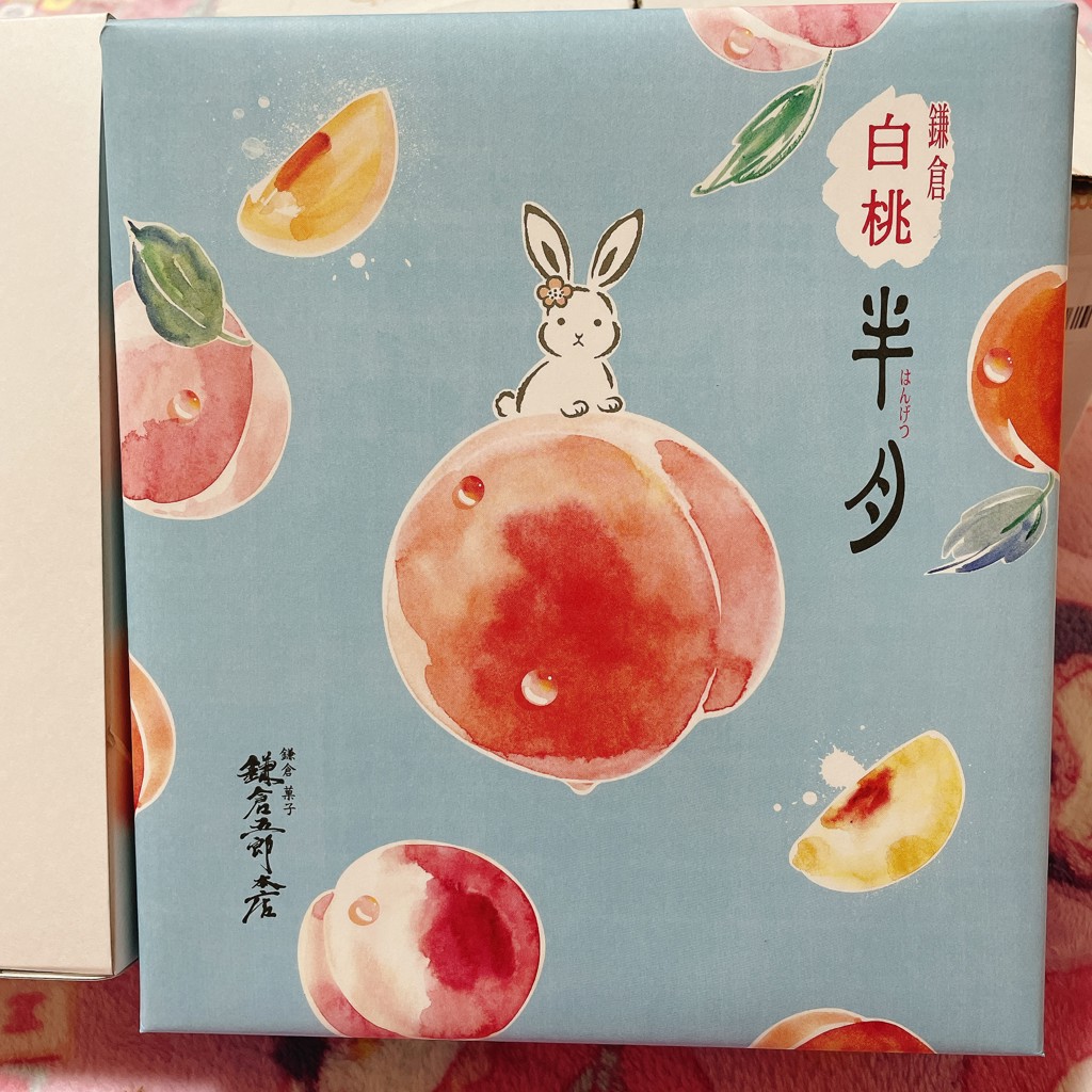 投稿写真