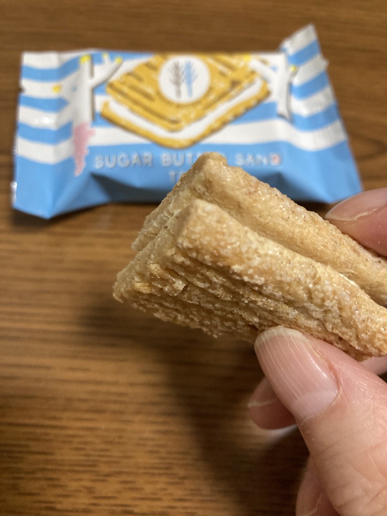 投稿写真