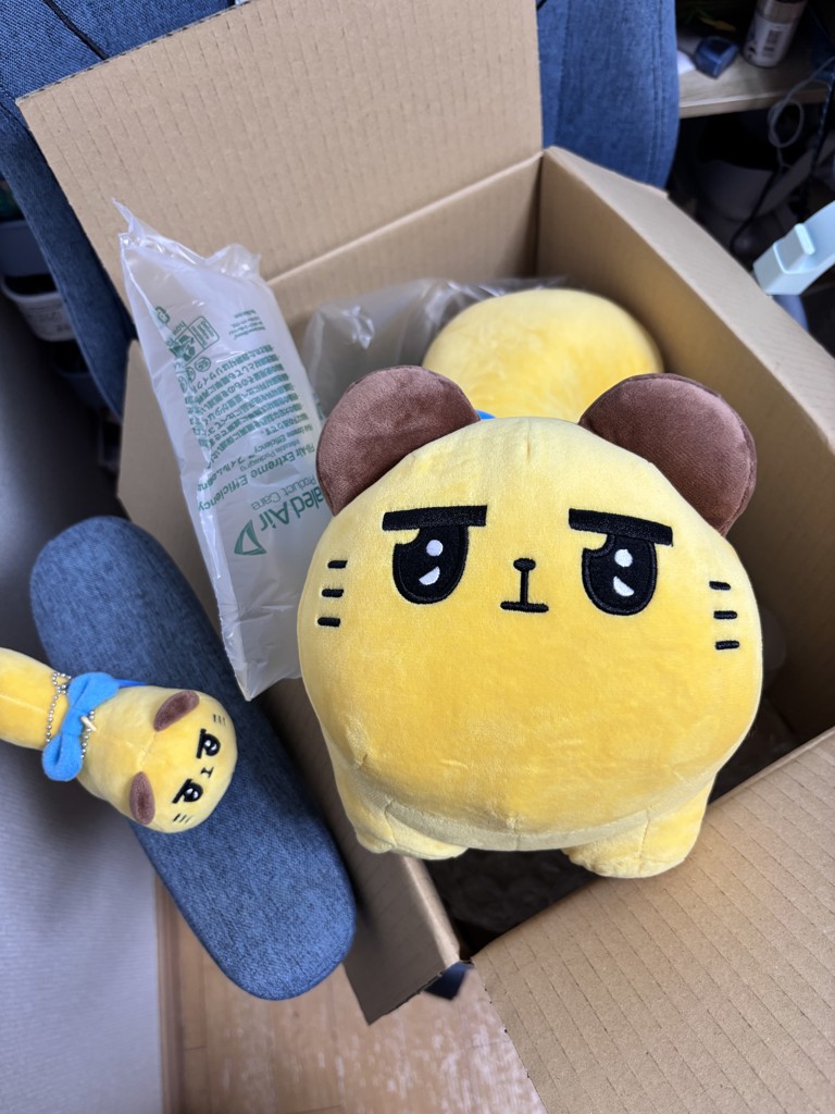 ユーザー写真
