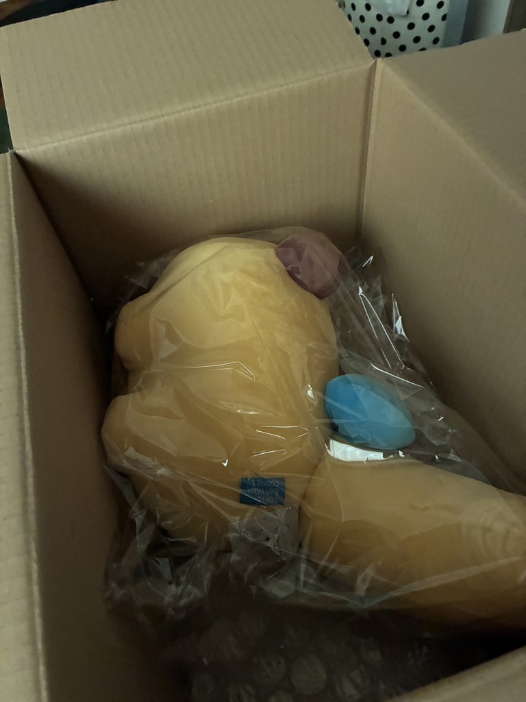 投稿写真