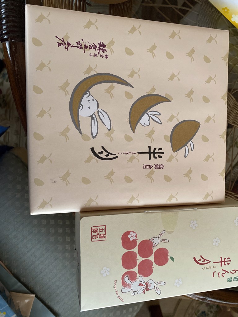 投稿写真