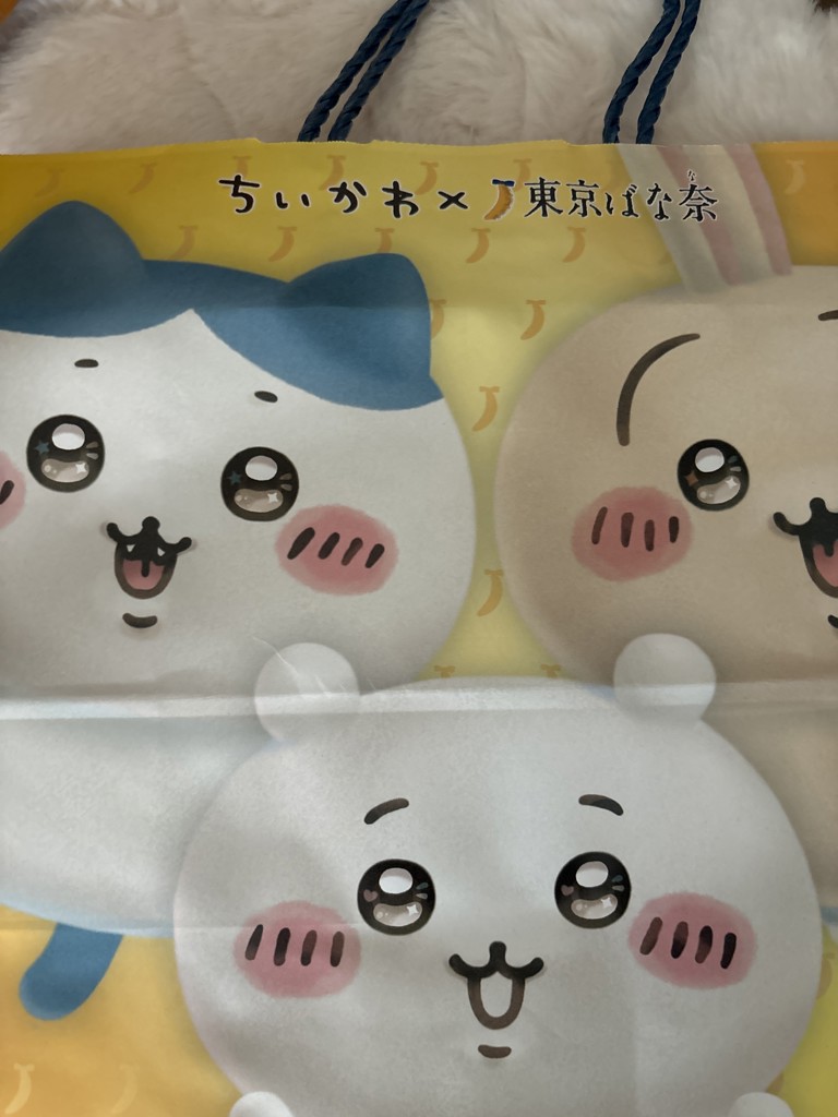 投稿写真