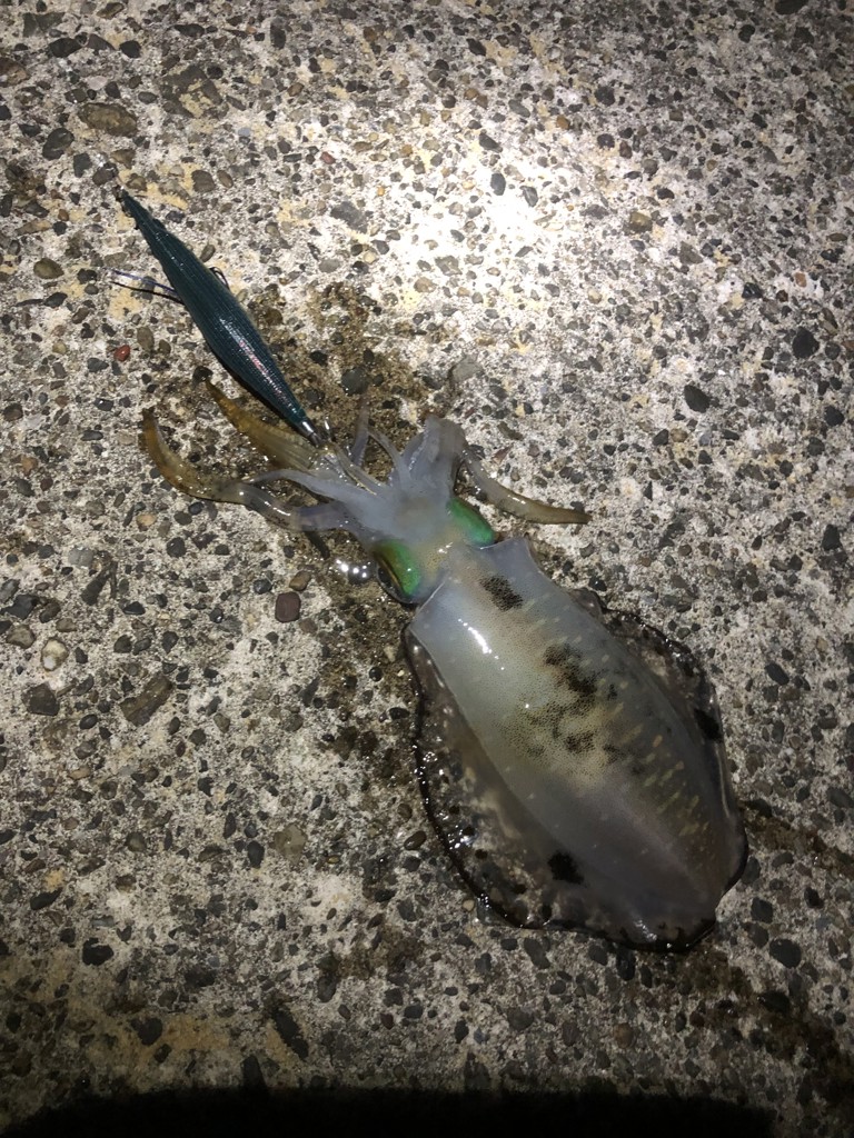 ユーザー写真