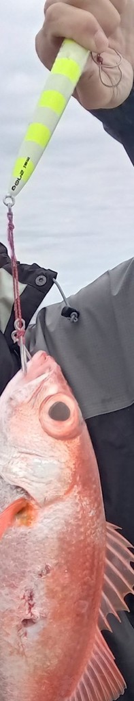 投稿写真