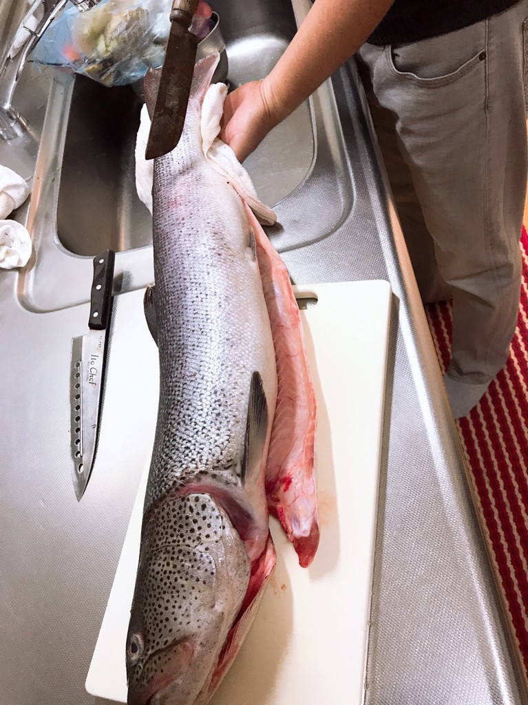 シマノ スコーピオン XV 2451R-2 バスロッド [2021年モデル] - 釣具の